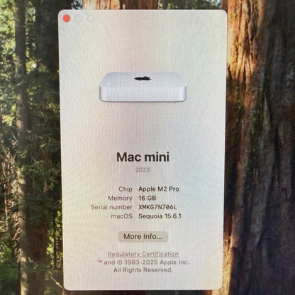 2023 Apple Mac Mini M2 Pro 3.5GHz 16GB RAM 512GB SSD Silver A2816